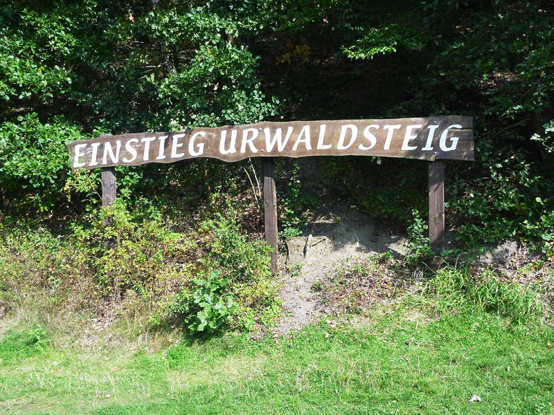 Urwaldsteig Edersee